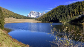 Appartamento Vanoi nel cuore verde del Trentino